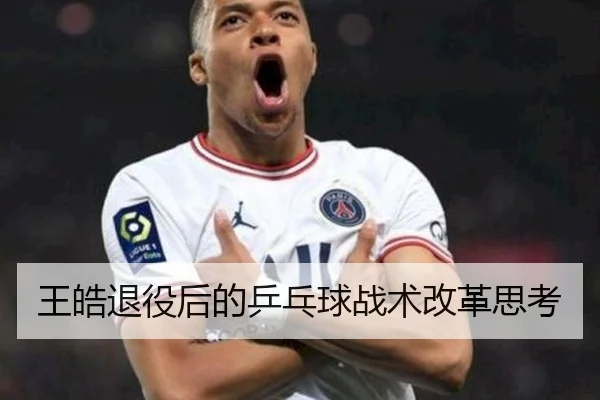 王皓退役后的乒乓球战术改革思考