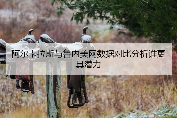 阿尔卡拉斯与鲁内美网数据对比分析谁更具潜力